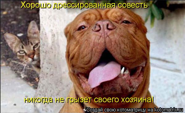 Хорошо дрессированная совесть никогда не грызёт своего хозяина!... Котоматрица: Хорошо дрессированная совесть никогда не грызёт своего хозяина!