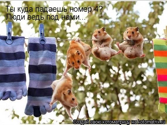 Ты куда падаешь номер 4? Люди ведь под нами...... Котоматрица: Ты куда падаешь номер 4? Люди ведь под нами...