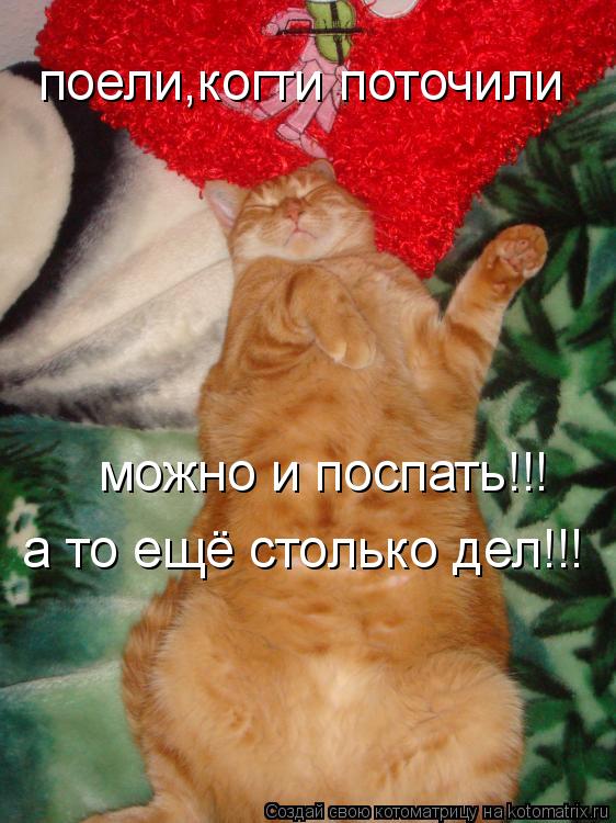 поели,когти поточили можно и поспать!!! а то ещё столько дел!!!... Котоматрица: поели,когти поточили можно и поспать!!! а то ещё столько дел!!!