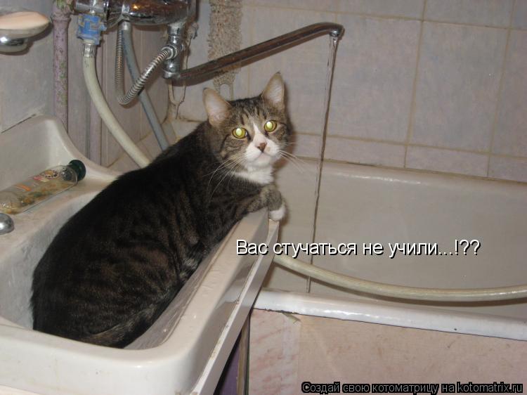Вас стучаться не учили...!??... Котоматрица: Вас стучаться не учили...!??