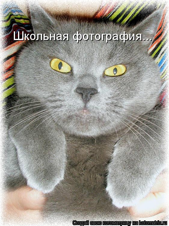 Школьная фотография...... Котоматрица: Школьная фотография...