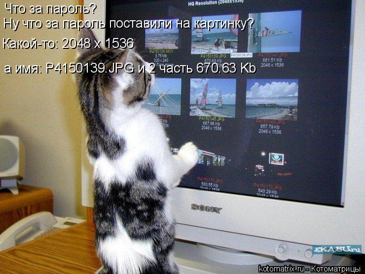 Что за пароль? Ну что за пароль поставили на картинку? Какой-то: 2048 х 1536 а имя: Р4150139.JPG и 2 ... Котоматрица: Что за пароль? Ну что за пароль поставили на картинку? Какой-то: 2048 х 1536 а имя: Р4150139.JPG и 2 часть 670.63 Kb