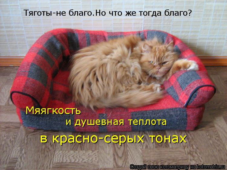 Тяготы-не благо.Но что же тогда благо? Мяягкость и душевная теплота в красно-серых тонах... Котоматрица: Тяготы-не благо.Но что же тогда благо? Мяягкость и душевная теплота в красно-серых тонах