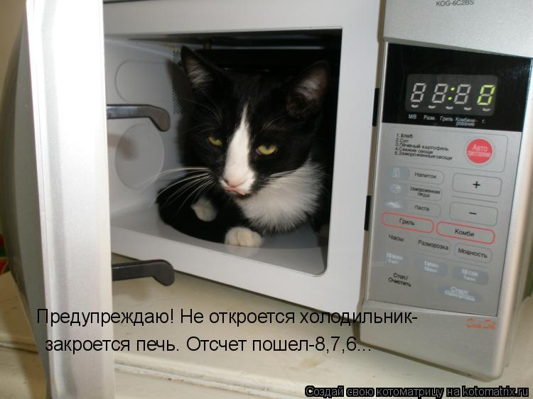 Предупреждаю! Не откроется холодильник- закроется печь. Отсчет пошел-8,7,6...... Котоматрица: Предупреждаю! Не откроется холодильник- закроется печь. Отсчет пошел-8,7,6...
