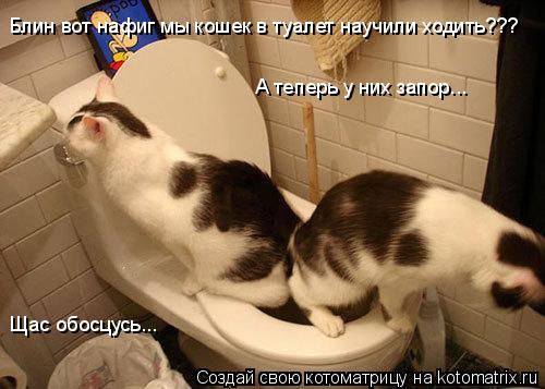 Блин вот нафиг мы кошек в туалет научили ходить??? А теперь у них запор... Щас обосцусь...... Котоматрица: Блин вот нафиг мы кошек в туалет научили ходить??? А теперь у них запор... Щас обосцусь...