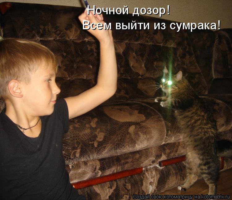 Ночной дозор! Всем выйти из сумрака!... Котоматрица: Ночной дозор! Всем выйти из сумрака!