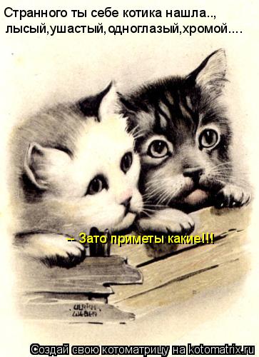 Котоматрица: Странного ты себе котика нашла.., лысый,ушастый,одноглазый,хромой.... -- Зато приметы какие!!!