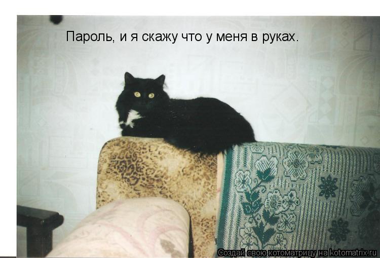 Пароль, и я скажу что у меня в руках.... Котоматрица: Пароль, и я скажу что у меня в руках.