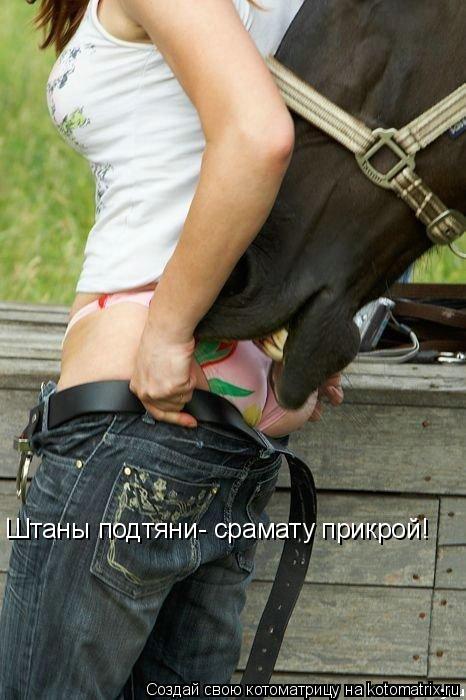 Штаны подтяни- срамату прикрой!... Котоматрица: Штаны подтяни- срамату прикрой!