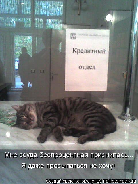 Мне ссуда беспроцентная приснилась... Я даже просыпаться не хочу!... Котоматрица: Мне ссуда беспроцентная приснилась... Я даже просыпаться не хочу!