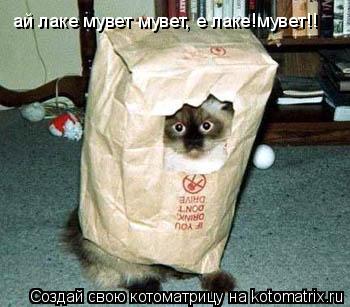 Котоматрица: ай лаке мувет мувет, е лаке!мувет!!