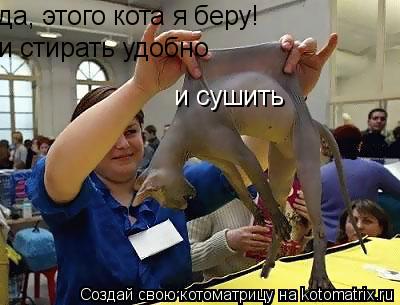 да, этого кота я беру! и стирать удобно и сушить... Котоматрица: да, этого кота я беру! и стирать удобно и сушить