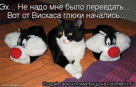 Эх... Не надо мне было переедать... Вот от Вискаса глюки начались...... Котоматрица: Эх... Не надо мне было переедать... Вот от Вискаса глюки начались...