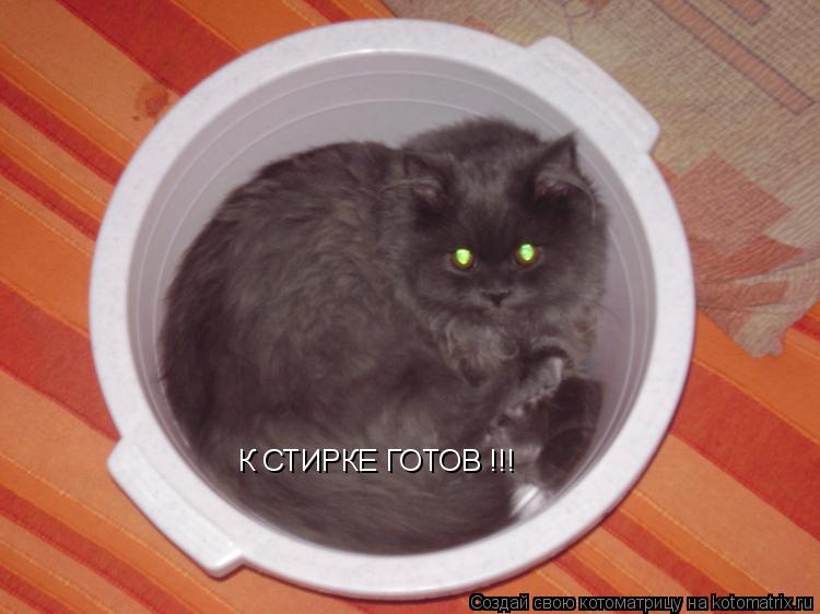 Котоматрица: К СТИРКЕ ГОТОВ !!!