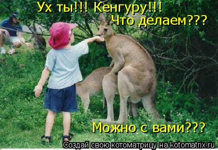 Ух ты!!! Кенгуру!!! Что делаем??? Можно с вами???... Котоматрица: Ух ты!!! Кенгуру!!! Что делаем??? Можно с вами???