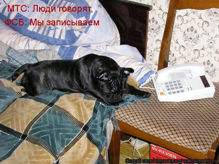 МТС: Люди говорят, ФСБ: Мы записываем... Котоматрица: МТС: Люди говорят, ФСБ: Мы записываем