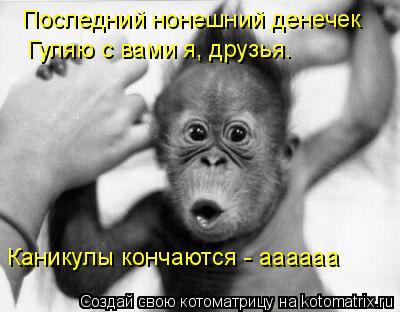 Последний нонешний денечек Гуляю с вами я, друзья. Каникулы кончаются - аааааа... Котоматрица: Последний нонешний денечек Гуляю с вами я, друзья. Каникулы кончаются - аааааа