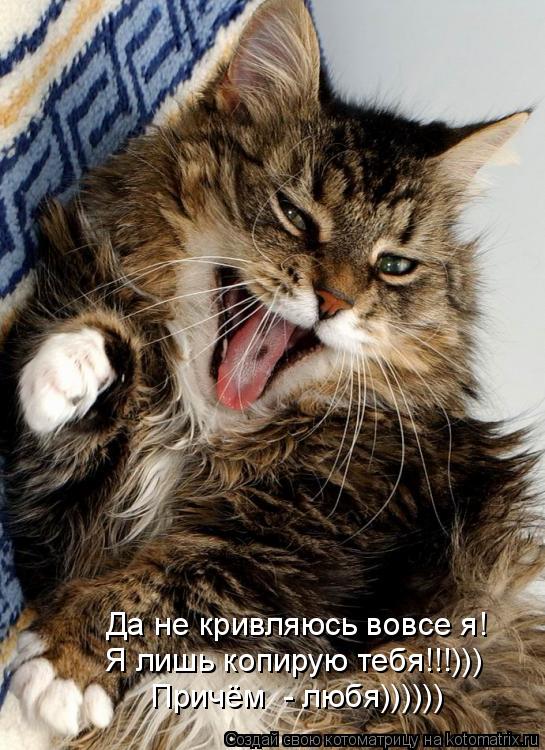 Да не кривляюсь вовсе я! Я лишь копирую тебя!!!))) Причём - любя))))))... Котоматрица: Да не кривляюсь вовсе я! Я лишь копирую тебя!!!))) Причём - любя))))))