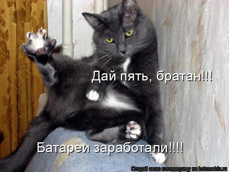 Дай пять, братан!!! Батареи заработали!!!!... Котоматрица: Дай пять, братан!!! Батареи заработали!!!!