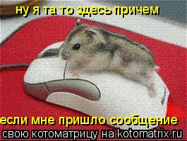 Котоматрица: ну я та то здесь причем если мне пришло сообщение