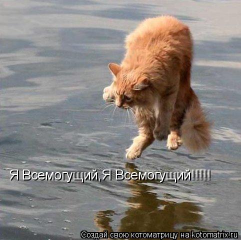 Я Всемогущий,Я Всемогущий!!!!!... Котоматрица: Я Всемогущий,Я Всемогущий!!!!!