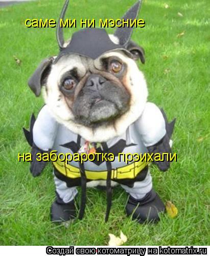 саме ми ни мэсние на заборароткэ прэихали... Котоматрица: саме ми ни мэсние на заборароткэ прэихали