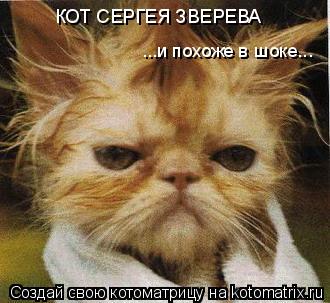 КОТ СЕРГЕЯ ЗВЕРЕВА ...и похоже в шоке...... Котоматрица: КОТ СЕРГЕЯ ЗВЕРЕВА ...и похоже в шоке...