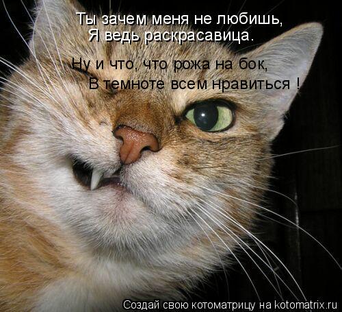 Ты зачем меня не любишь, Я ведь раскрасавица. Ну и что, что рожа на бок, В темноте всем нравиться !... Котоматрица: Ты зачем меня не любишь, Я ведь раскрасавица. Ну и что, что рожа на бок, В темноте всем нравиться !