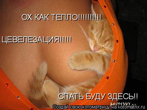 Котоматрица: ОХ КАК ТЕПЛО!!!!!!!!!! ЦЕВЕЛЕЗАЦИЯ!!!!! СПАТЬ БУДУ ЗДЕСЬ!!
