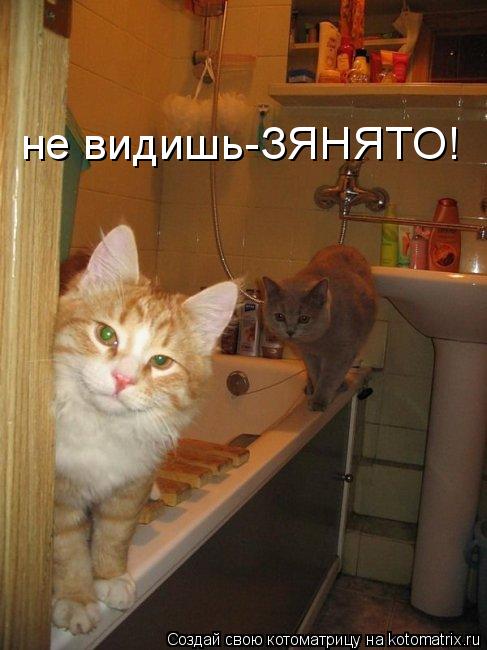 не видишь-ЗЯНЯТО!... Котоматрица: не видишь-ЗЯНЯТО!