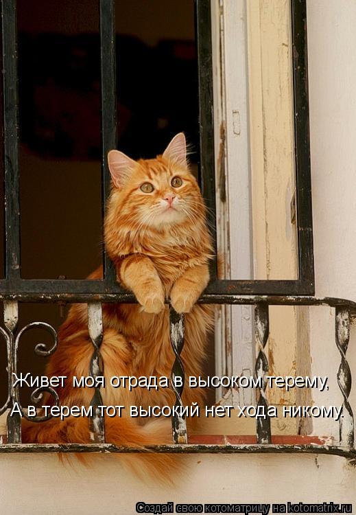 Живет моя отрада в высоком терему, А в терем тот высокий нет хода никому.... Котоматрица: Живет моя отрада в высоком терему, А в терем тот высокий нет хода никому.