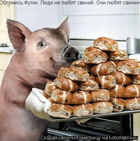Котоматрица: Обломись Футик. Люди не любят свиней. Они любят свинину...