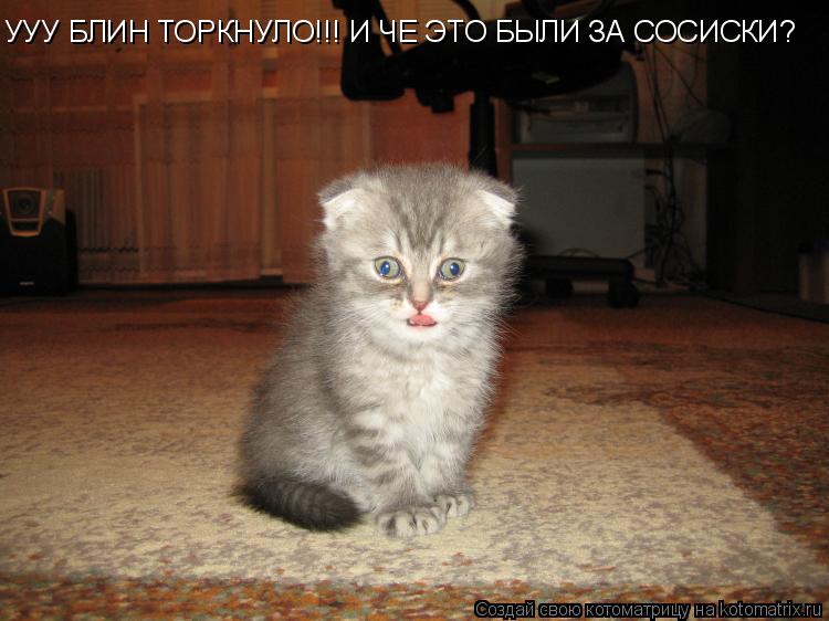 УУУ БЛИН ТОРКНУЛО!!! И ЧЕ ЭТО БЫЛИ ЗА СОСИСКИ?... Котоматрица: УУУ БЛИН ТОРКНУЛО!!! И ЧЕ ЭТО БЫЛИ ЗА СОСИСКИ?