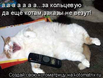 а а а а а а а...за кольцевую да ещё котам,заказы не везут!... Котоматрица: а а а а а а а...за кольцевую да ещё котам,заказы не везут!