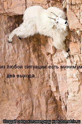 из любой ситуации есть минимум два выхода...... Котоматрица: из любой ситуации есть минимум два выхода...
