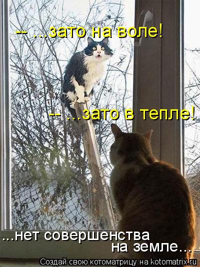 -- ...зато на воле! -- ...зато в тепле! ...нет совершенства на земле...... Котоматрица: -- ...зато на воле! -- ...зато в тепле! ...нет совершенства на земле...