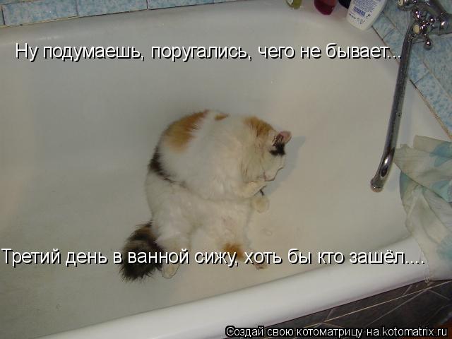 Котоматрица: Ну подумаешь, поругались, чего не бывает... Третий день в ванной сижу, хоть бы кто зашёл....