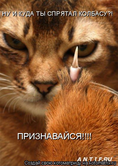 НУ И КУДА ТЫ СПРЯТАЛ КОЛБАСУ?! ПРИЗНАВАЙСЯ!!!!... Котоматрица: НУ И КУДА ТЫ СПРЯТАЛ КОЛБАСУ?! ПРИЗНАВАЙСЯ!!!!
