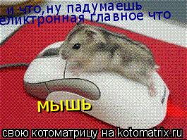 и что,ну падумаешь електронная мышь как мышь и что,ну падумаешь еликтронная главное что мышь... Котоматрица: и что,ну падумаешь електронная мышь как мышь и что,ну падумаешь еликтронная главное что мышь