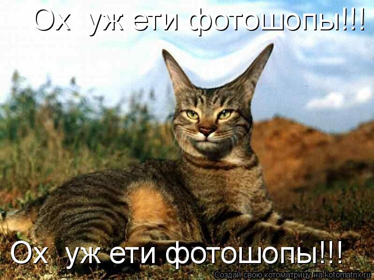 Ох уж ети фотошопы!!! Ох уж ети фотошопы!!!... Котоматрица: Ох уж ети фотошопы!!! Ох уж ети фотошопы!!!