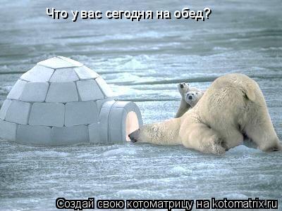 Что у вас сегодня на обед?... Котоматрица: Что у вас сегодня на обед?