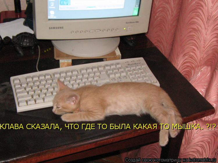 КЛАВА СКАЗАЛА, ЧТО ГДЕ ТО БЫЛА КАКАЯ ТО МЫШКА. ?!?... Котоматрица: КЛАВА СКАЗАЛА, ЧТО ГДЕ ТО БЫЛА КАКАЯ ТО МЫШКА. ?!?