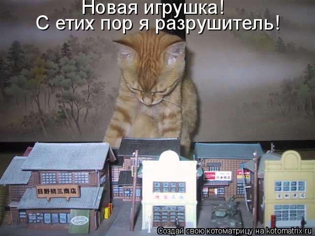 Новая игрушка! С етих пор я разрушитель!... Котоматрица: Новая игрушка! С етих пор я разрушитель!