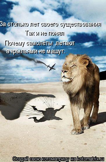 За столько лет своего существования Так и не понял Почему самолёты летают а крыльями не машут.... Котоматрица: За столько лет своего существования Так и не понял Почему самолёты летают а крыльями не машут.