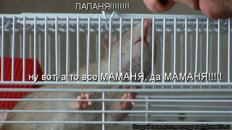 Котоматрица: ПАПАНЯ!!!!!!!! ну вот, а то все МАМАНЯ, да МАМАНЯ!!!!!