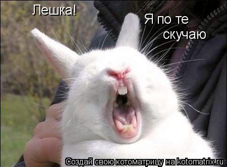Лешка! скучаю Я по те... Котоматрица: Лешка! скучаю Я по те