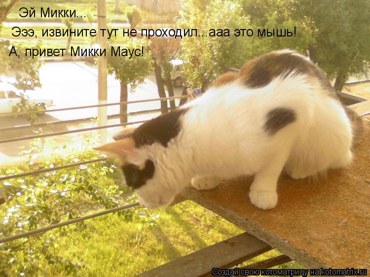 Котоматрица: Эй Микки... Эээ, извините тут не проходил...ааа это мышь! А, привет Микки Маус!
