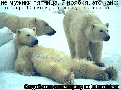 не мужики пятница, 7 ноября, это кайф но завтра 10 ноября, а на роботу страшно ехоть!... Котоматрица: не мужики пятница, 7 ноября, это кайф но завтра 10 ноября, а на роботу страшно ехоть!