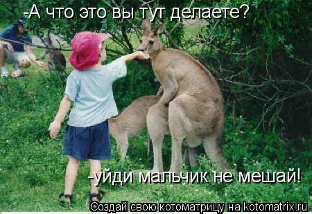 Котоматрица: -А что это вы тут делаете? -уйди мальчик не мешай!