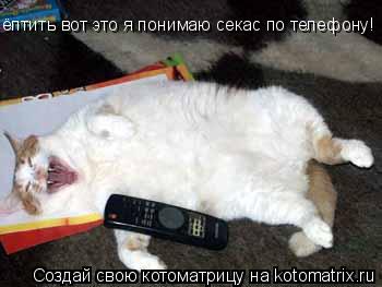 Котоматрица: ёптить вот это я понимаю секас по телефону!